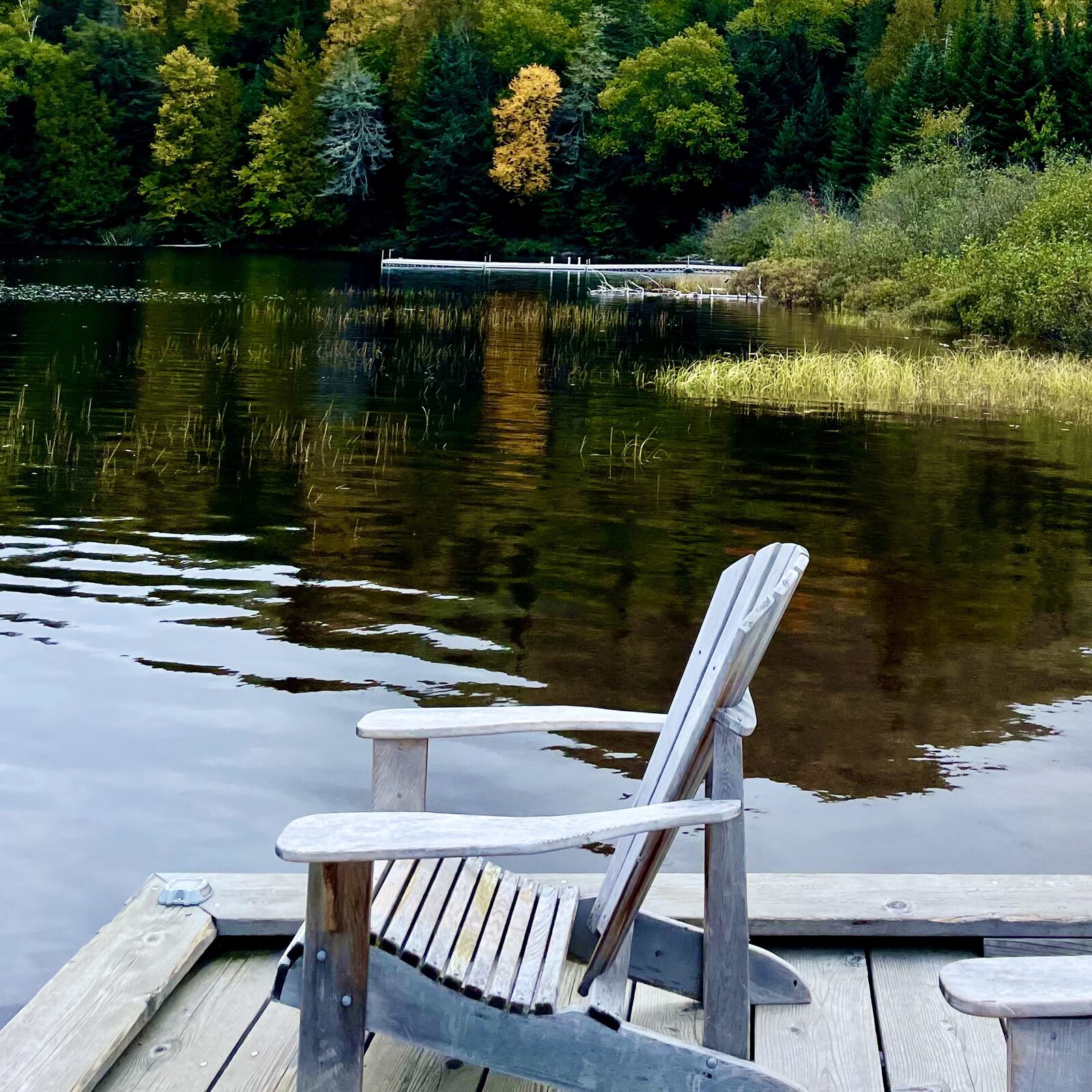 Lakeside Chair