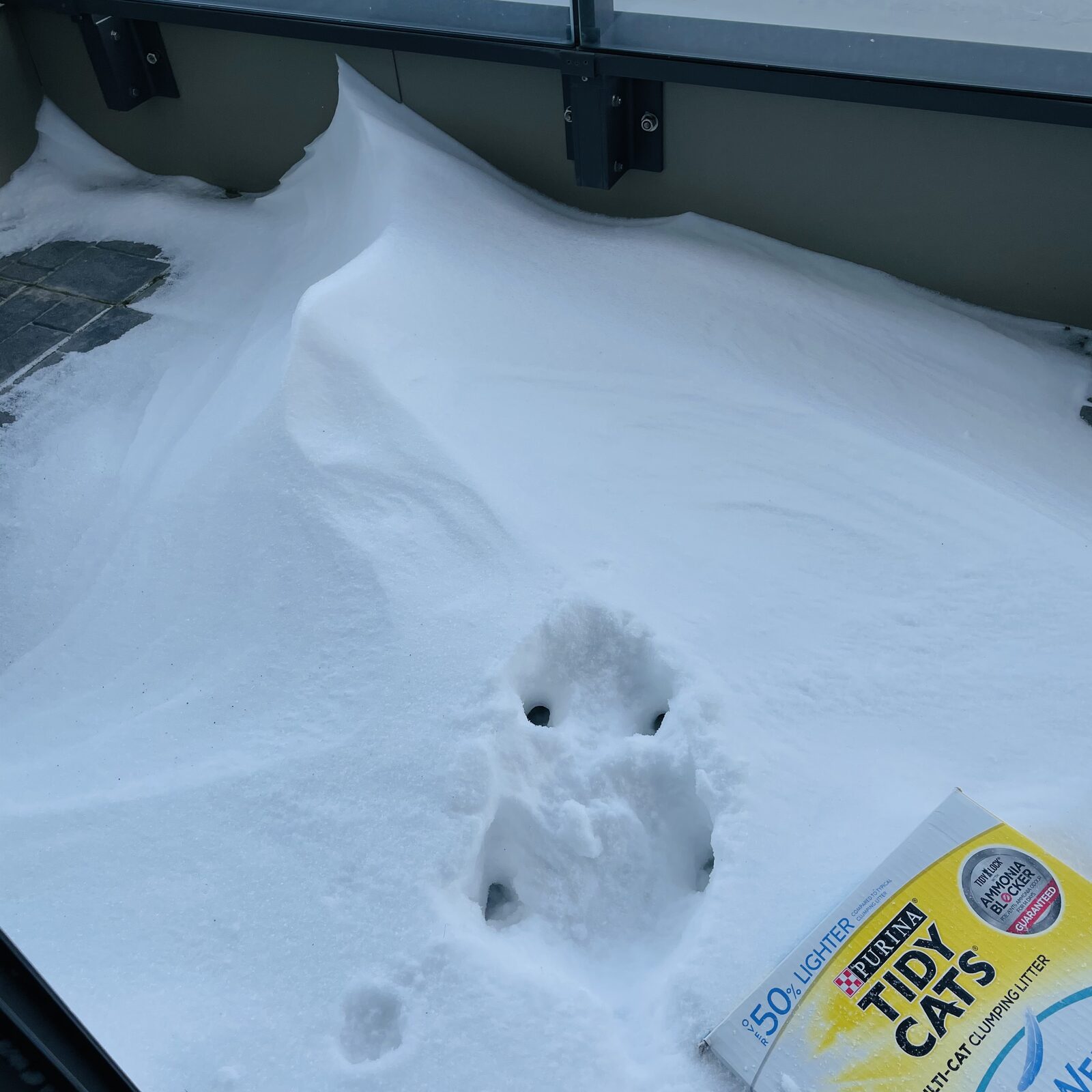 Snow Cat