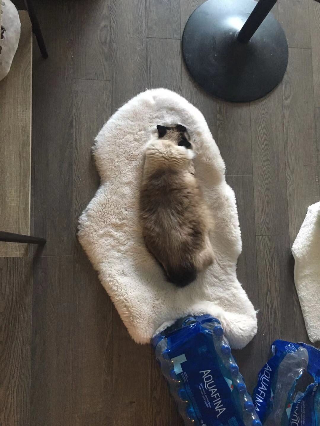 Nap Time