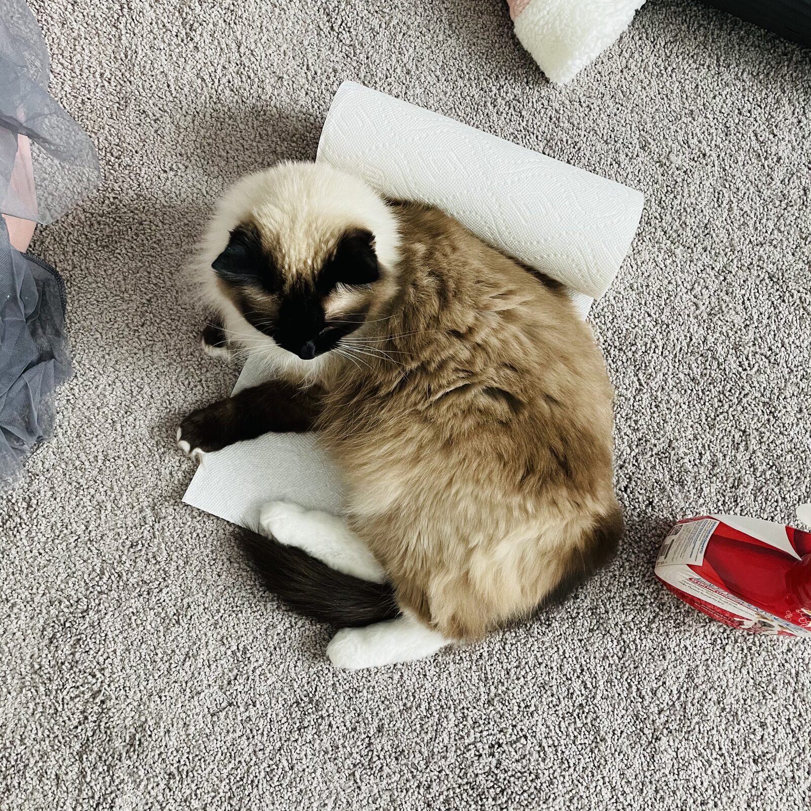 Paper Towel Throne