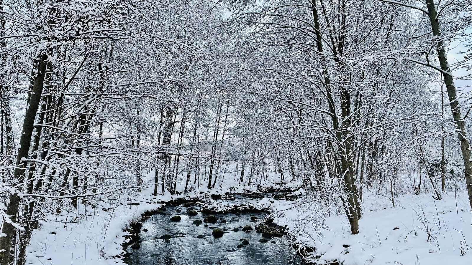 Snowy Creek