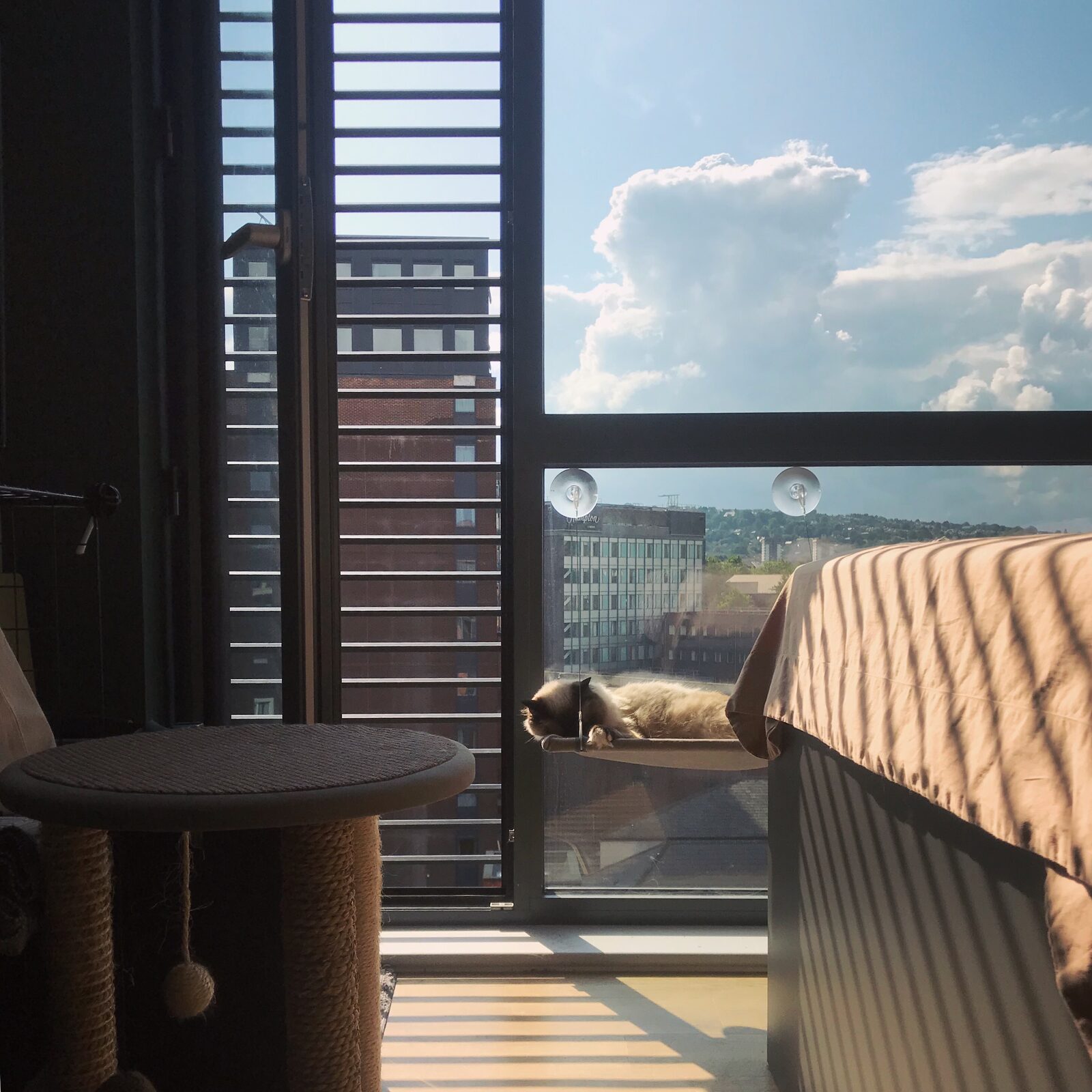 Afternoon Sunbeam