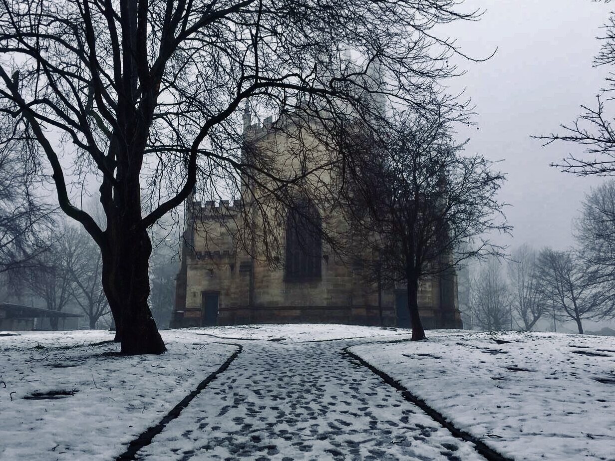 Snowy Cathedral