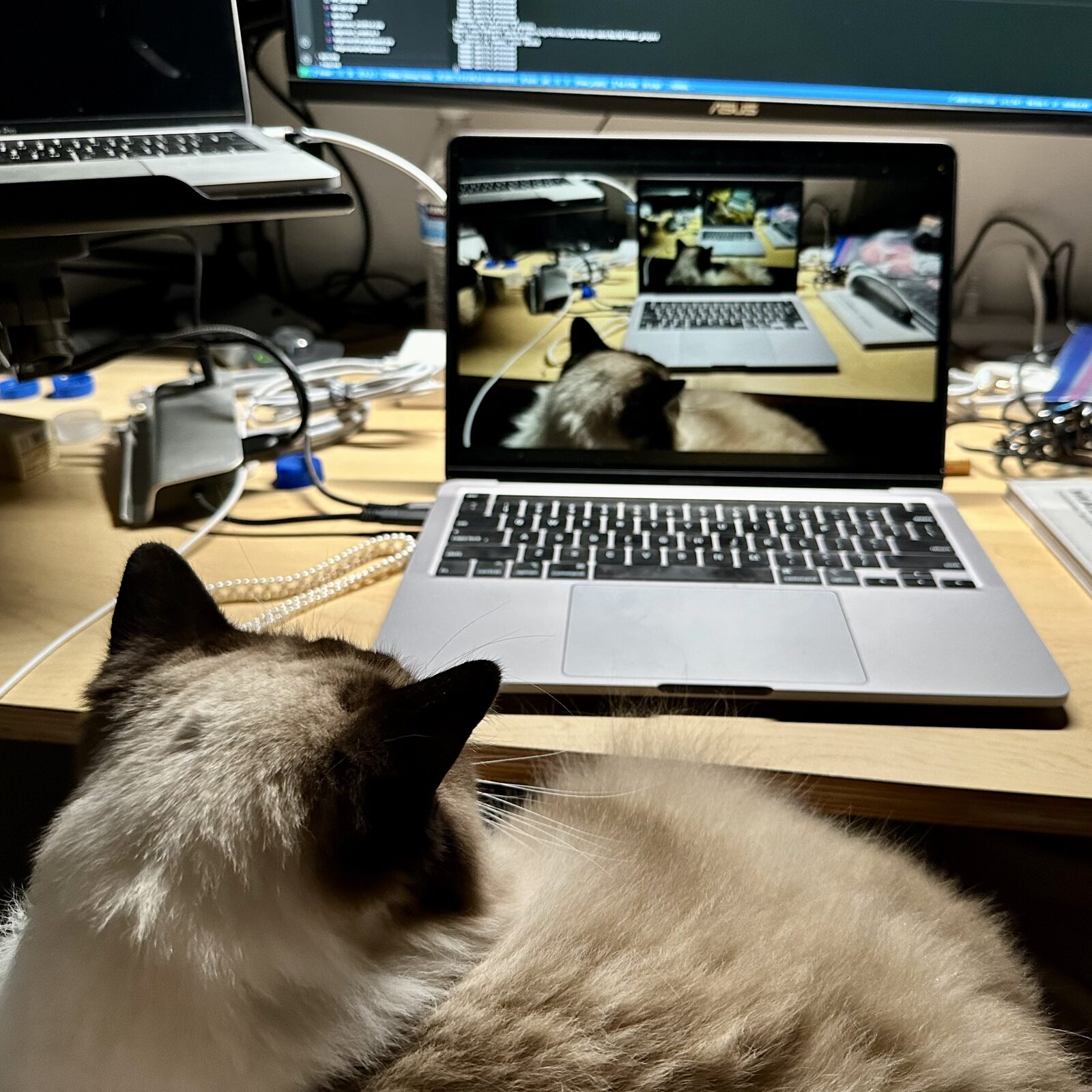 Coding Companion