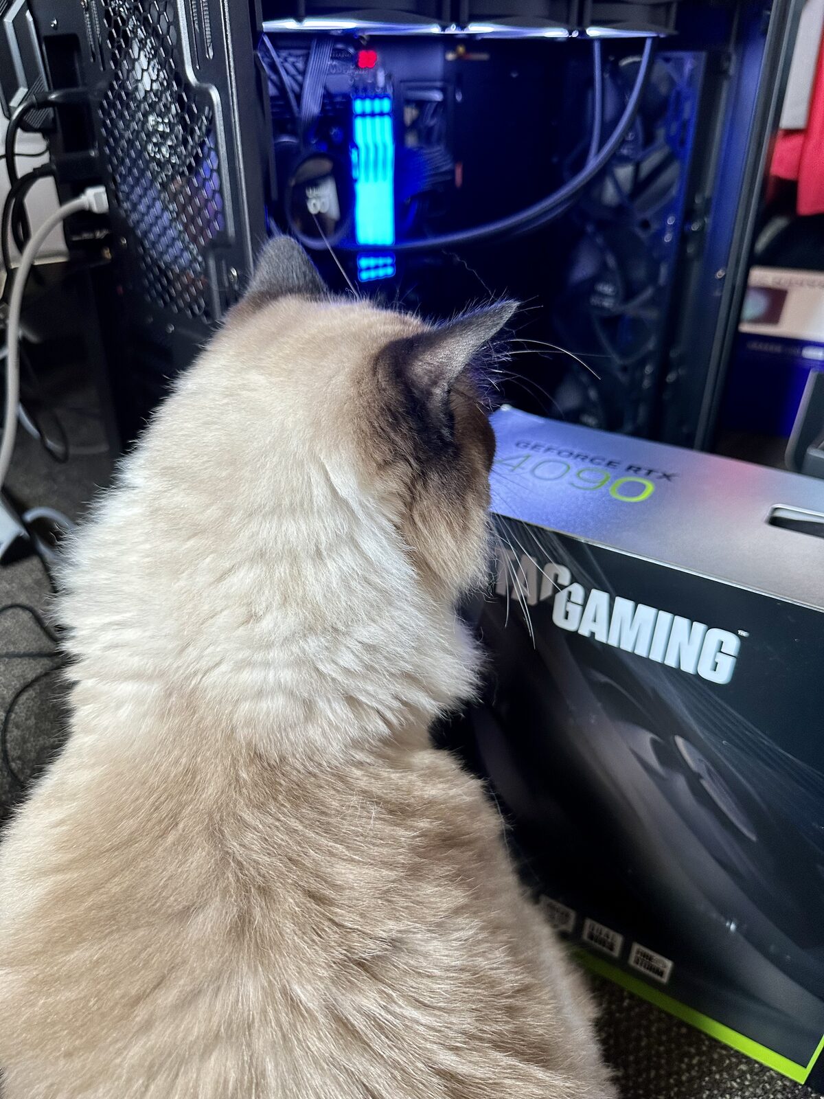 PC Builder Cat