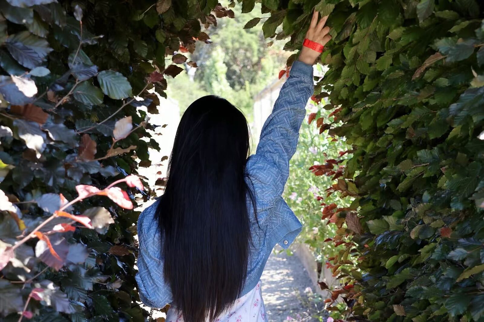 Secret Garden