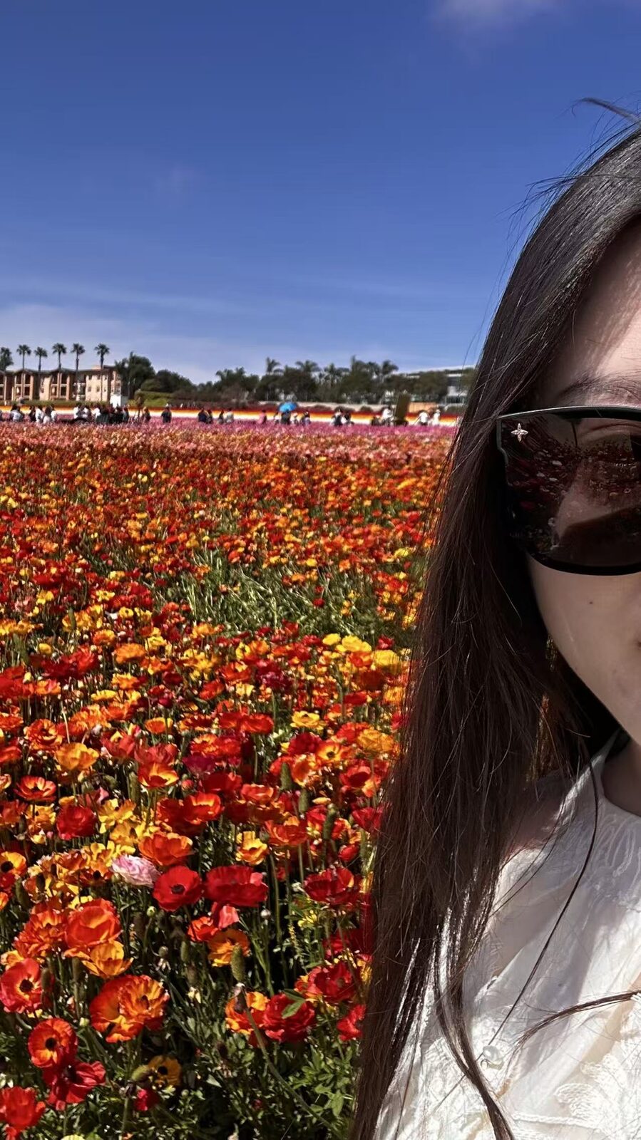 Carlsbad Flower Fields