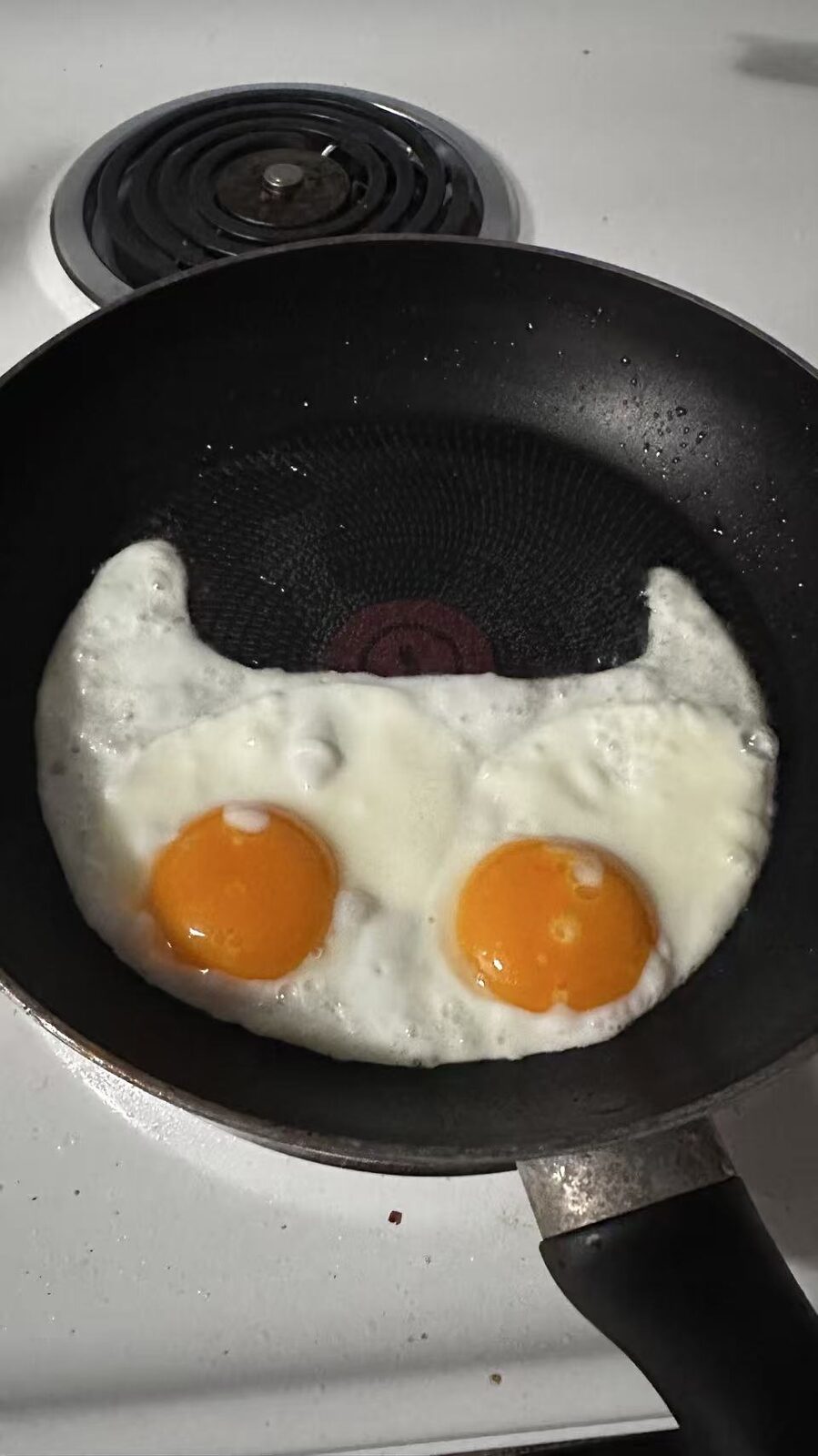 Cat-Face Eggs