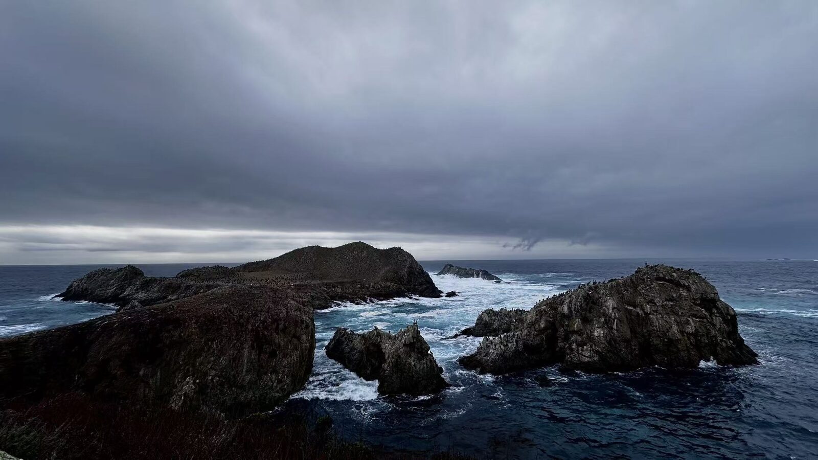 Point Lobos