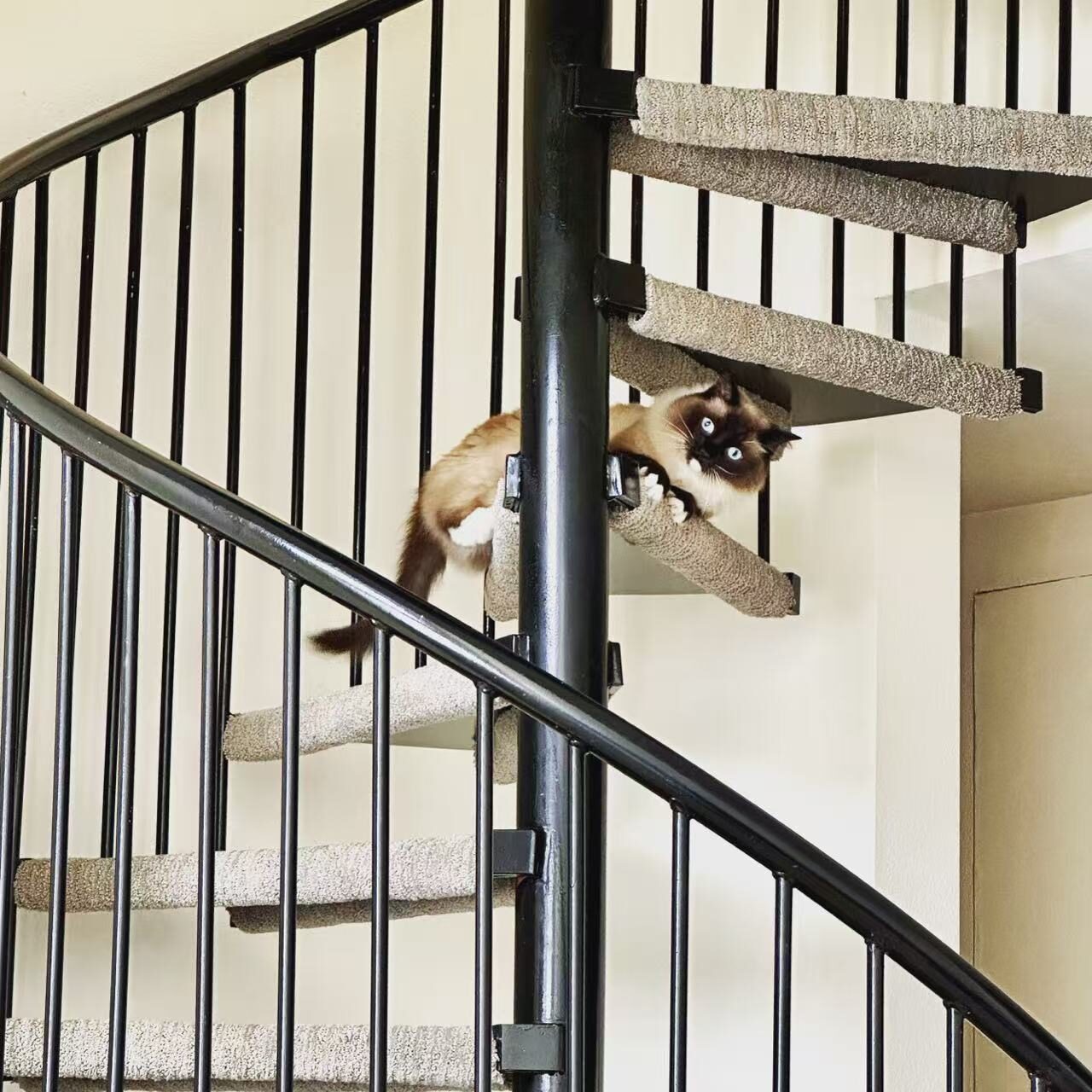 Spiral Staircase Explorer