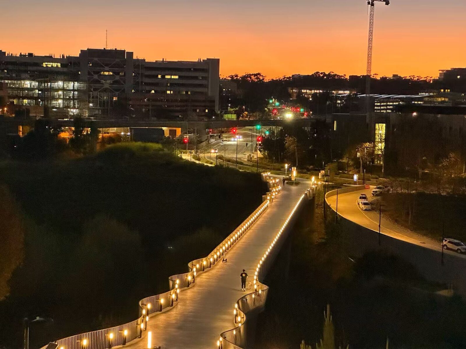 Campus at Dusk