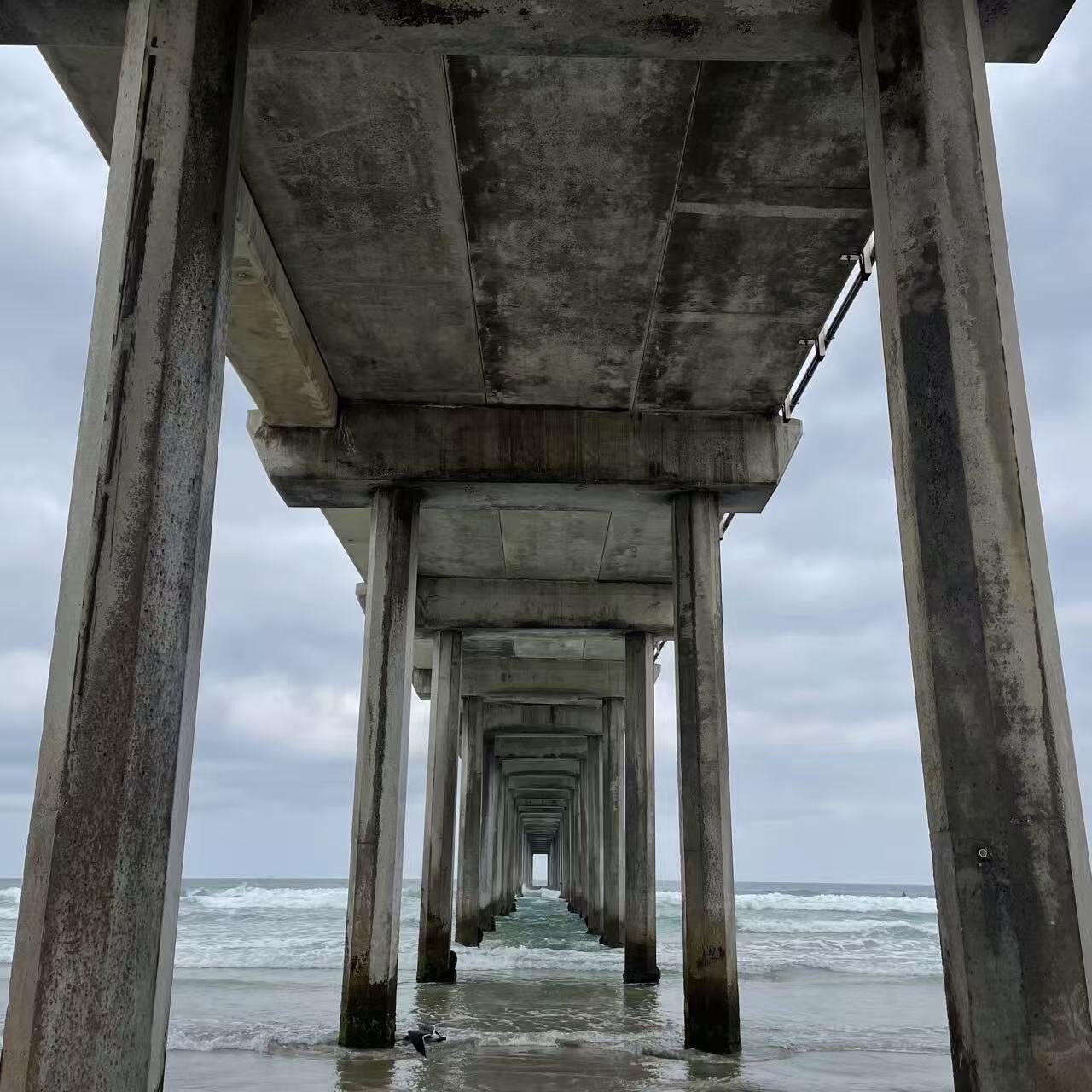 Under the Pier