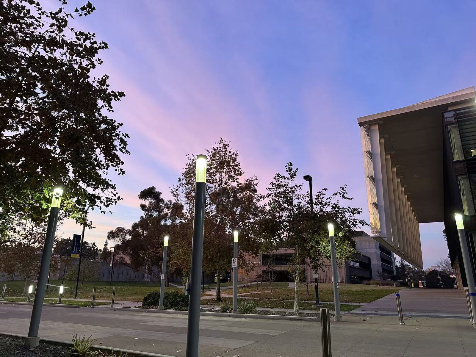 Sunset at Medical School